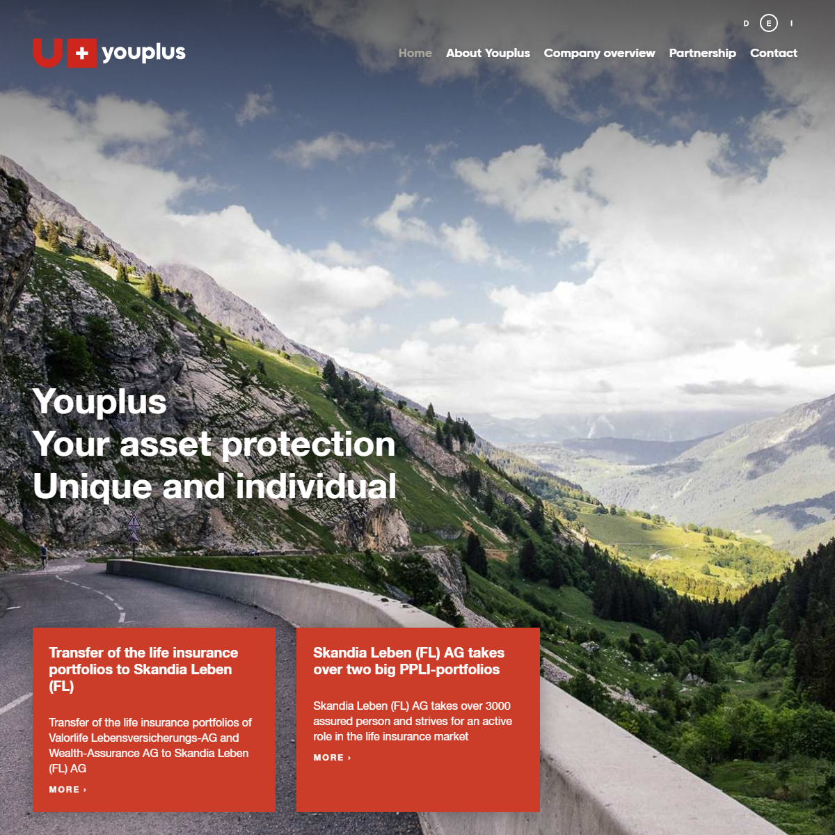 website picture